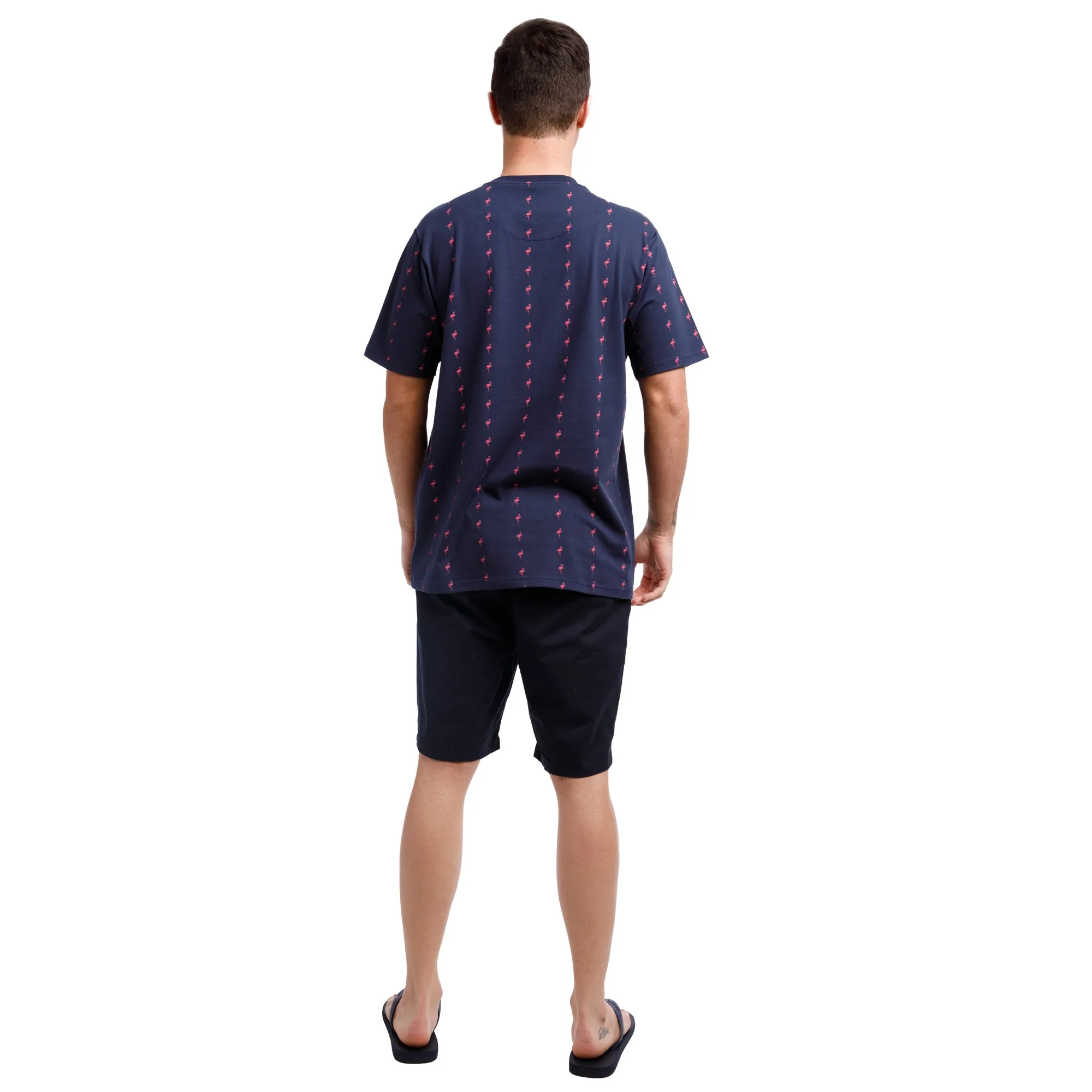 Printed Stretch Short Sleeve Crew Neck Tee | Pink Flamingo Stripes