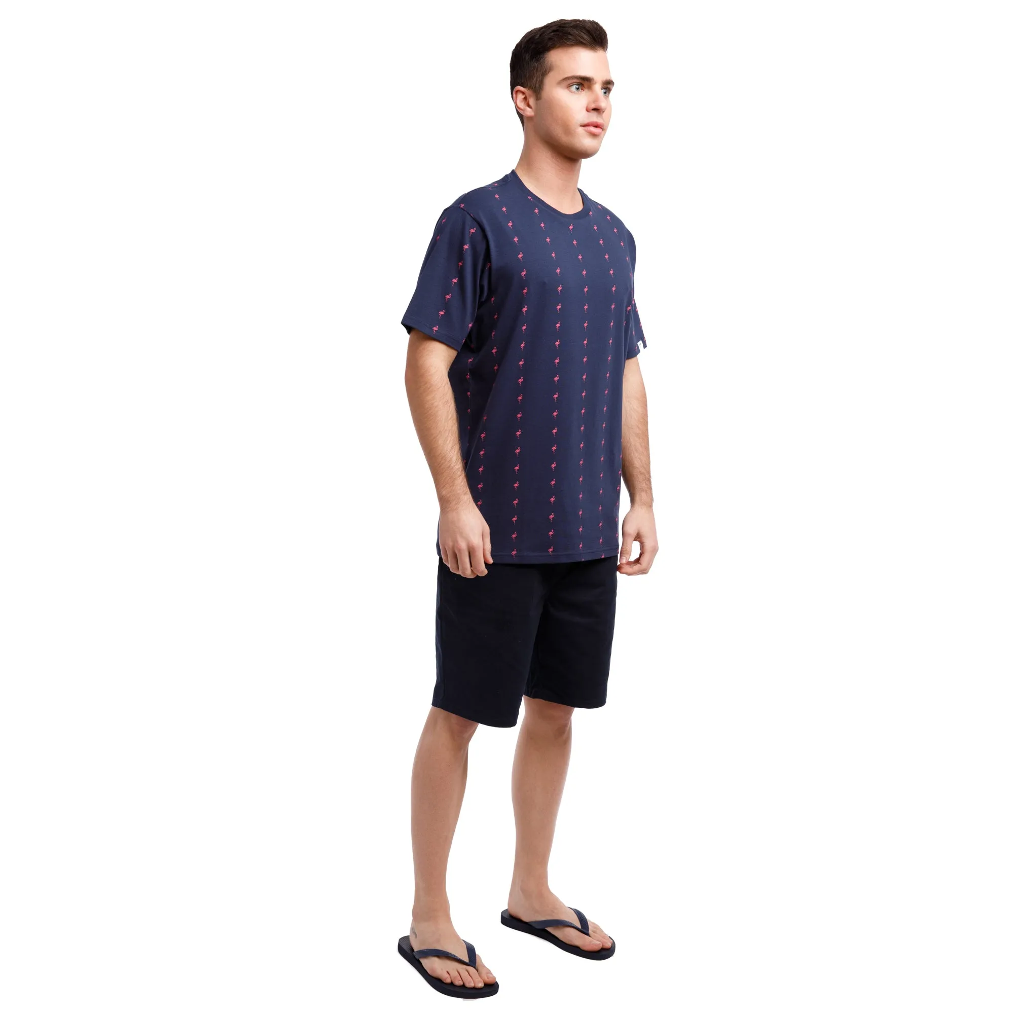 Printed Stretch Short Sleeve Crew Neck Tee | Pink Flamingo Stripes