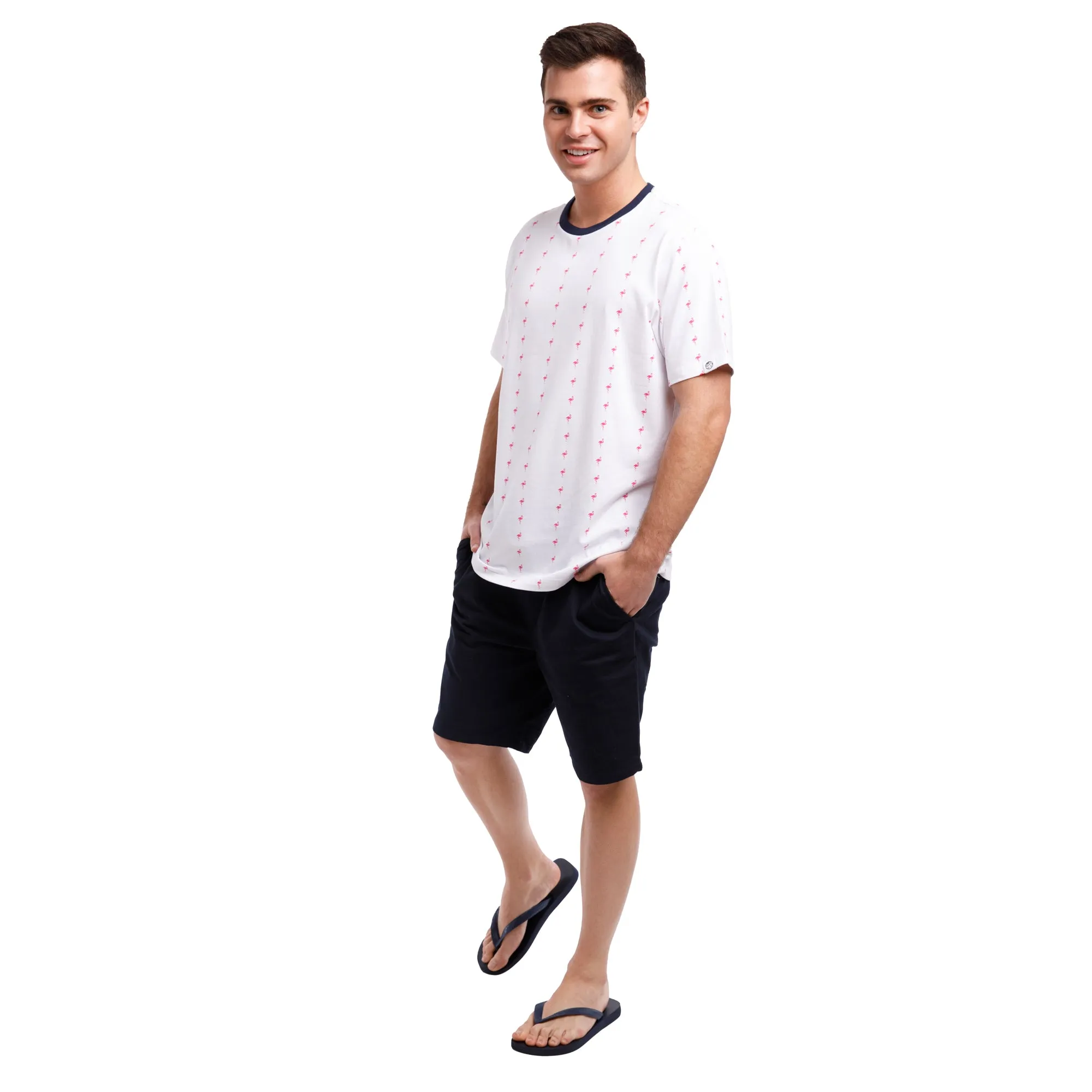 Printed Stretch Short Sleeve Crew Neck Tee | Pink Flamingo Stripes