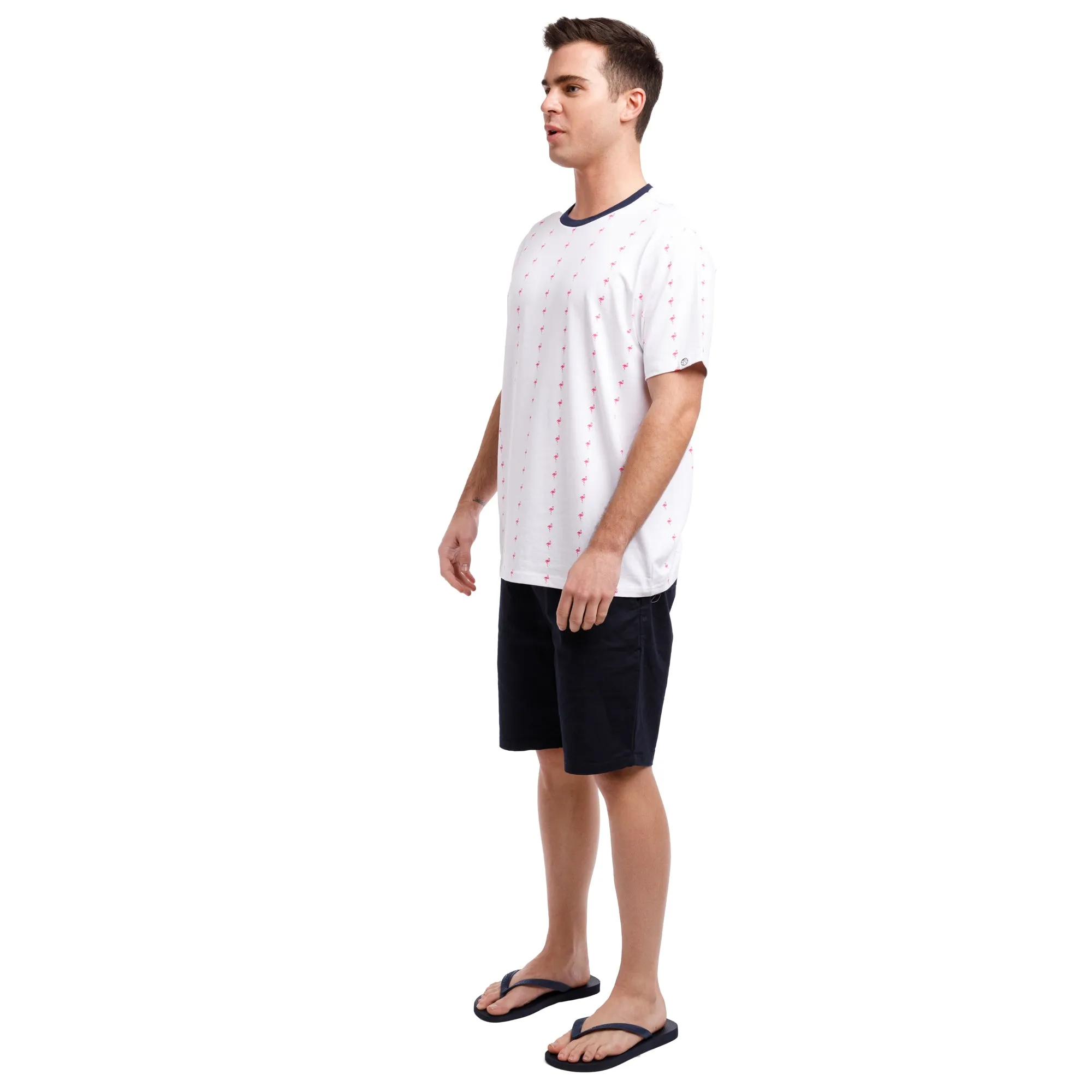 Printed Stretch Short Sleeve Crew Neck Tee | Pink Flamingo Stripes