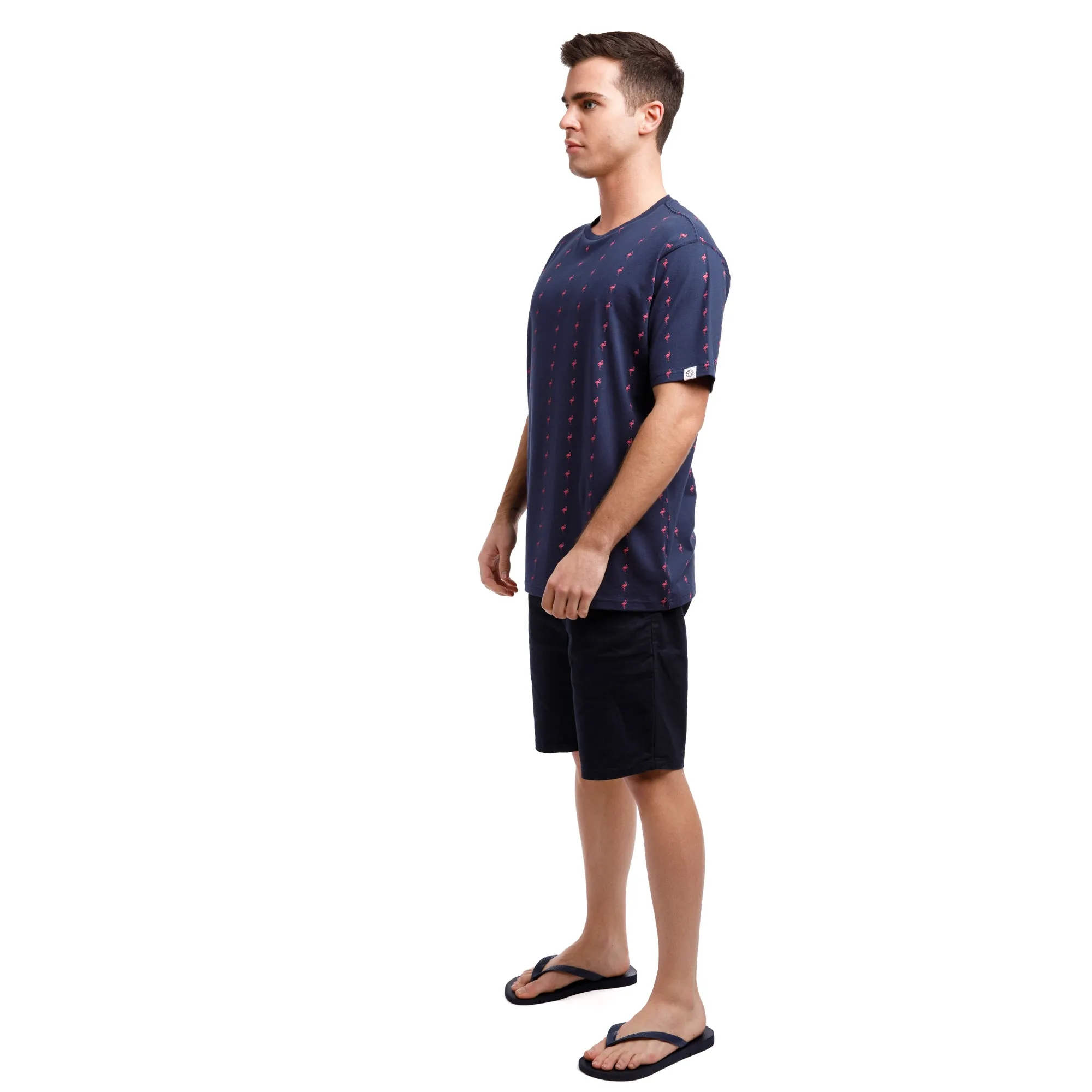 Printed Stretch Short Sleeve Crew Neck Tee | Pink Flamingo Stripes