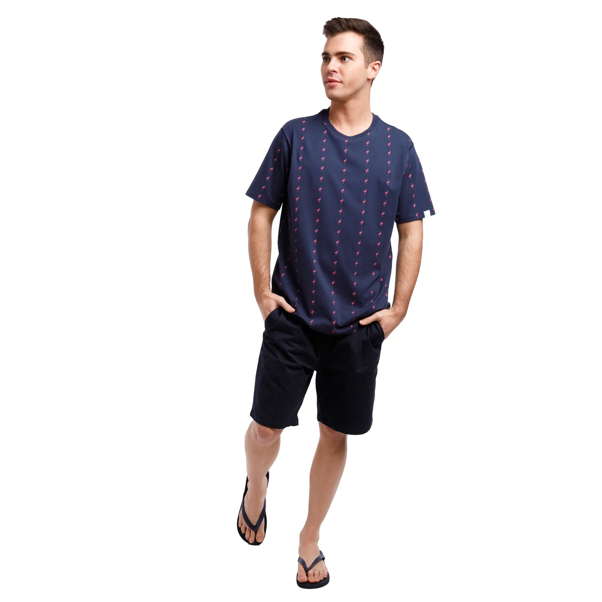Printed Stretch Short Sleeve Crew Neck Tee | Pink Flamingo Stripes
