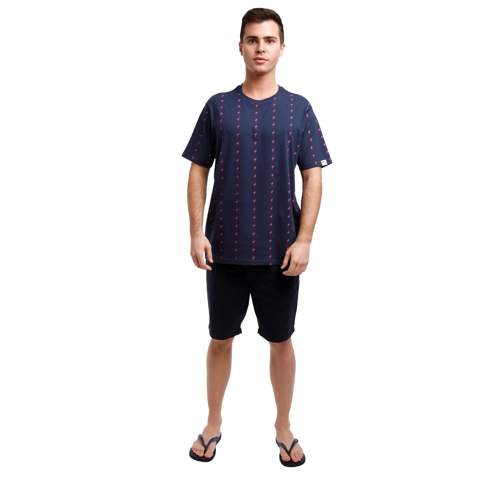 Printed Stretch Short Sleeve Crew Neck Tee | Pink Flamingo Stripes